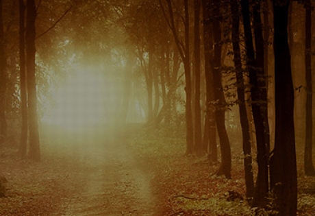 Создание сайта для ритуальной компании «Осирис»